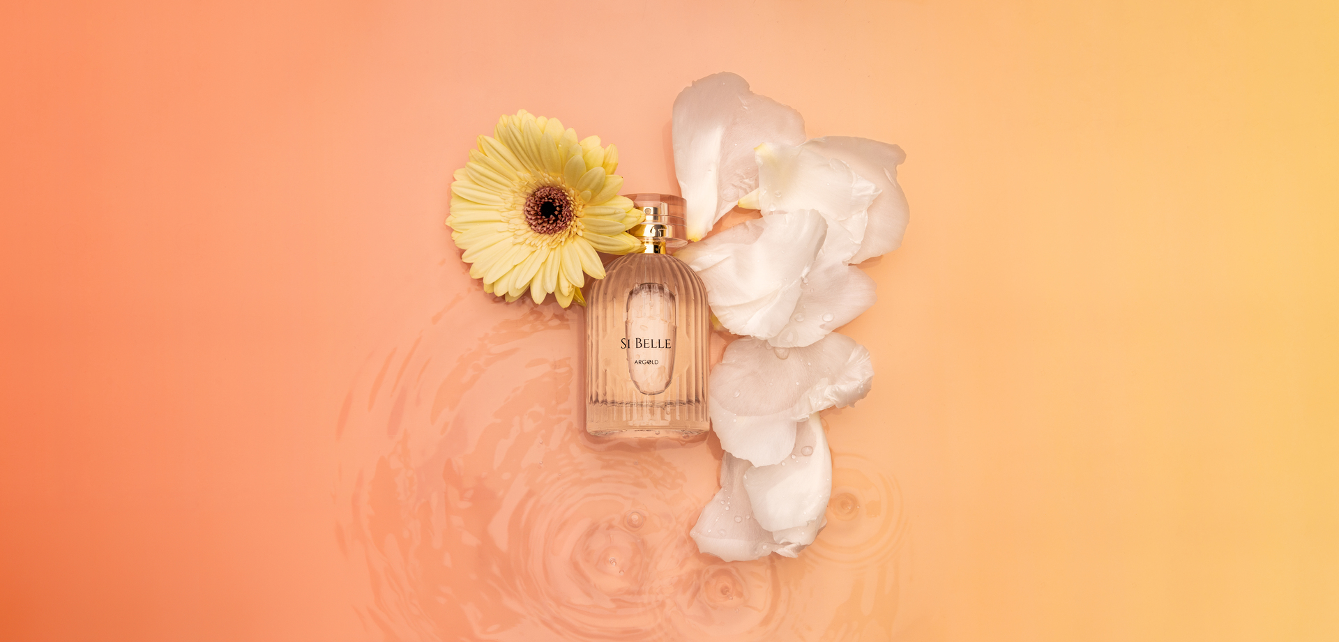 Photographe Produits Commerciaux